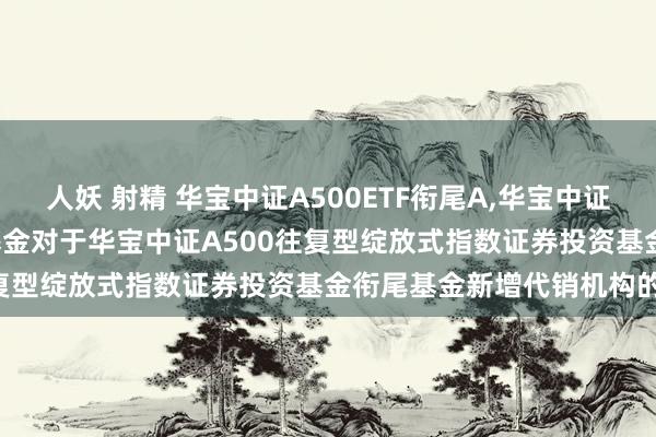 人妖 射精 华宝中证A500ETF衔尾A,华宝中证A500ETF衔尾C: 华宝基金对于华宝中证A500往复型绽放式指数证券投资基金衔尾基金新增代销机构的公告
