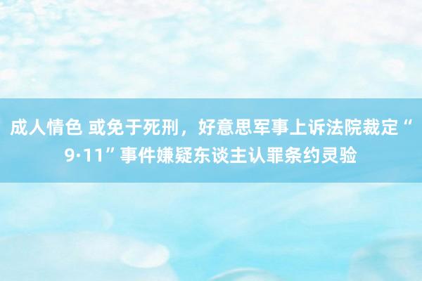 成人情色 或免于死刑，好意思军事上诉法院裁定“9·11”事件嫌疑东谈主认罪条约灵验