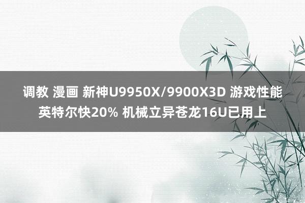 调教 漫画 新神U9950X/9900X3D 游戏性能英特尔快20% 机械立异苍龙16U已用上