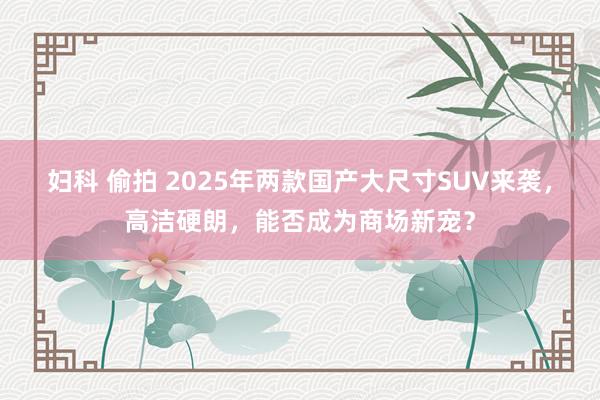 妇科 偷拍 2025年两款国产大尺寸SUV来袭，高洁硬朗，能否成为商场新宠？