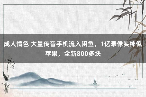 成人情色 大量传音手机流入闲鱼，1亿录像头神似苹果，全新800多块