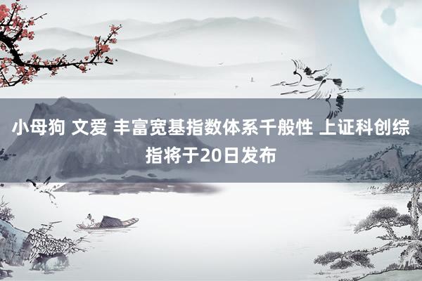 小母狗 文爱 丰富宽基指数体系千般性 上证科创综指将于20日发布