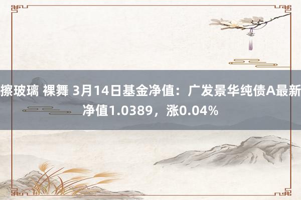 擦玻璃 裸舞 3月14日基金净值：广发景华纯债A最新净值1.0389，涨0.04%