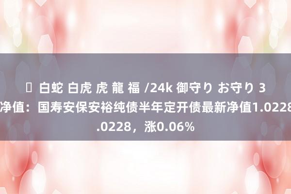 ✨白蛇 白虎 虎 龍 福 /24k 御守り お守り 3月14日基金净值：国寿安保安裕纯债半年定开债最新净值1.0228，涨0.06%