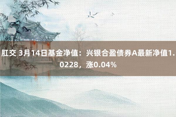 肛交 3月14日基金净值：兴银合盈债券A最新净值1.0228，涨0.04%