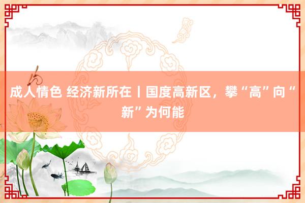 成人情色 经济新所在丨国度高新区，攀“高”向“新”为何能
