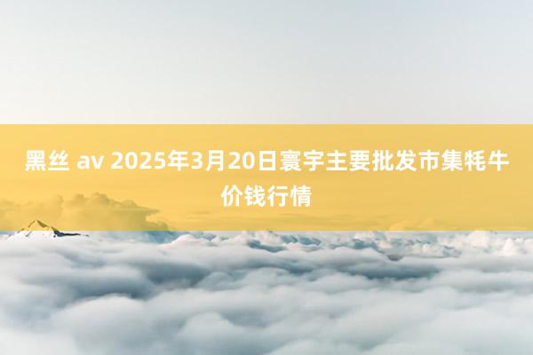 黑丝 av 2025年3月20日寰宇主要批发市集牦牛价钱行情