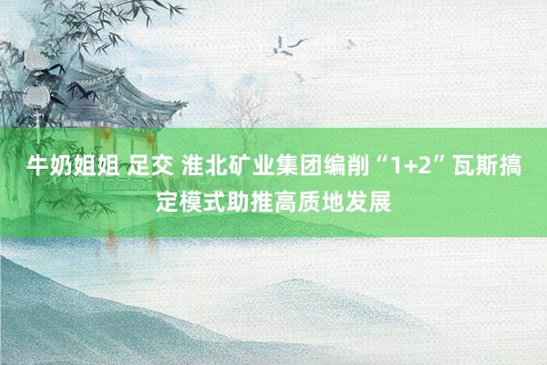 牛奶姐姐 足交 淮北矿业集团编削“1+2”瓦斯搞定模式助推高质地发展