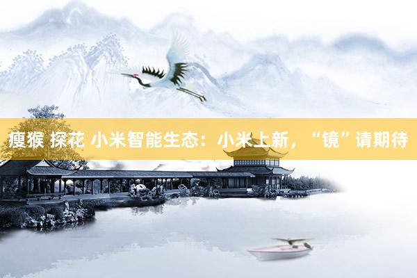 瘦猴 探花 小米智能生态：小米上新，“镜”请期待