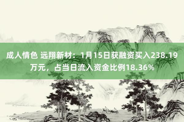 成人情色 远翔新材：1月15日获融资买入238.19万元，占当日流入资金比例18.36%