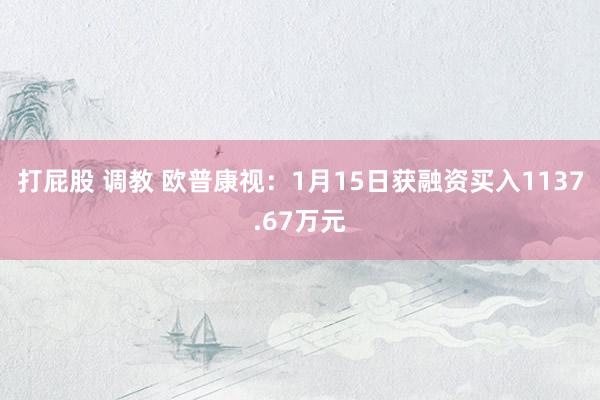 打屁股 调教 欧普康视：1月15日获融资买入1137.67万元