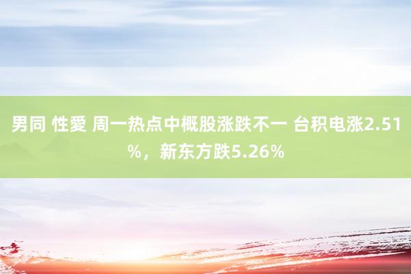 男同 性愛 周一热点中概股涨跌不一 台积电涨2.51%，新东方跌5.26%