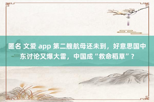 匿名 文爱 app 第二艘航母还未到，好意思国中东讨论又爆大雷，中国成“救命稻草”？