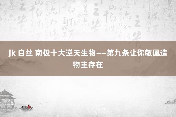 jk 白丝 南极十大逆天生物——第九条让你敬佩造物主存在