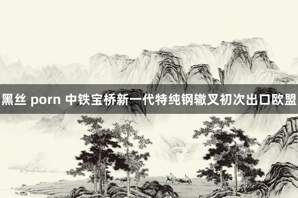 黑丝 porn 中铁宝桥新一代特纯钢辙叉初次出口欧盟