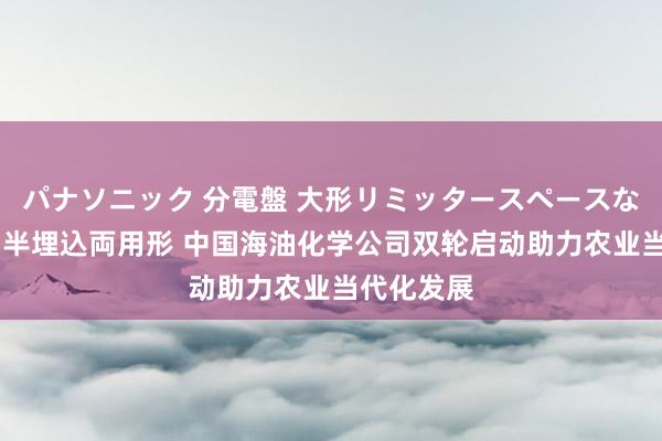 パナソニック 分電盤 大形リミッタースペースなし 露出・半埋込両用形 中国海油化学公司双轮启动助力农业当代化发展