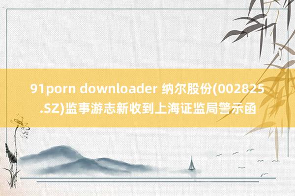 91porn downloader 纳尔股份(002825.SZ)监事游志新收到上海证监局警示函