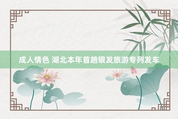成人情色 湖北本年首趟银发旅游专列发车
