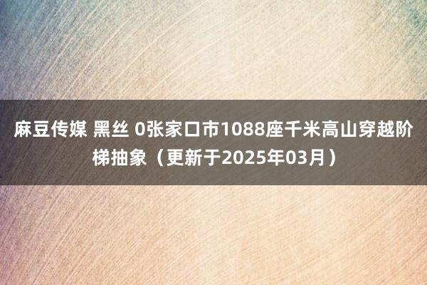 麻豆传媒 黑丝 0张家口市1088座千米高山穿越阶梯抽象（更新于2025年03月）