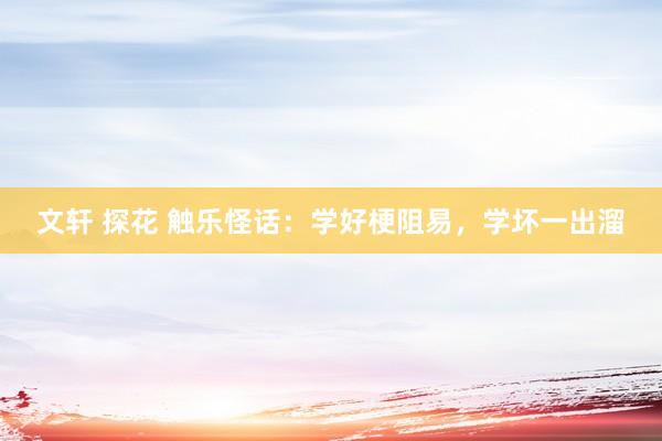 文轩 探花 触乐怪话：学好梗阻易，学坏一出溜