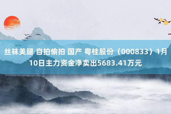 丝袜美腿 自拍偷拍 国产 粤桂股份（000833）1月10日主力资金净卖出5683.41万元