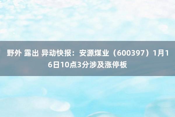 野外 露出 异动快报：安源煤业（600397）1月16日10点3分涉及涨停板