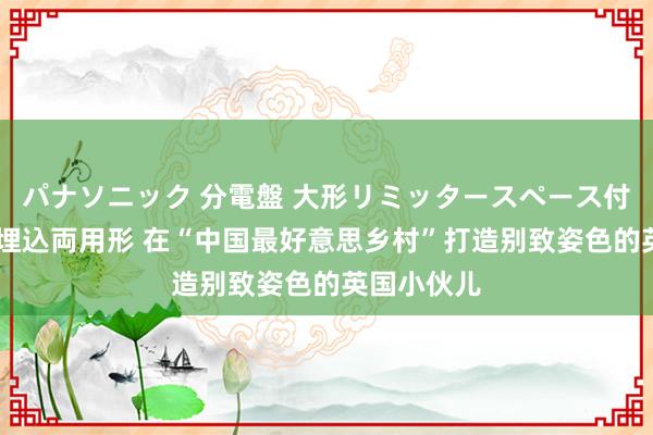 パナソニック 分電盤 大形リミッタースペース付 露出・半埋込両用形 在“中国最好意思乡村”打造别致姿色的英国小伙儿