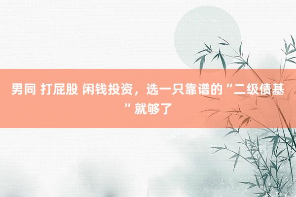 男同 打屁股 闲钱投资，选一只靠谱的“二级债基”就够了
