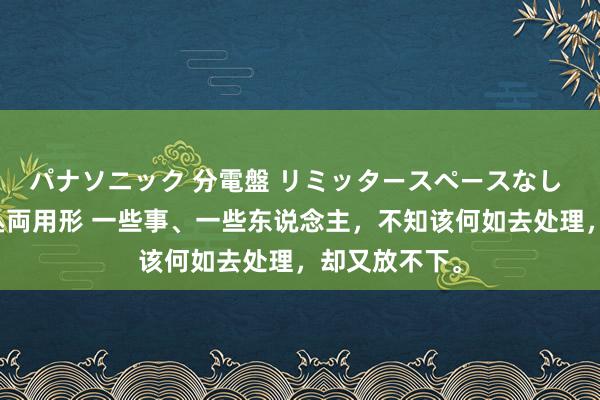 パナソニック 分電盤 リミッタースペースなし 露出・半埋込両用形 一些事、一些东说念主，不知该何如去处理，却又放不下。