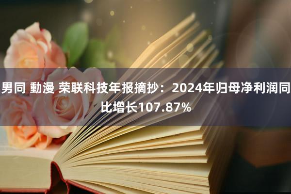 男同 動漫 荣联科技年报摘抄：2024年归母净利润同比增长107.87%