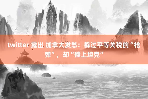 twitter 露出 加拿大发愁：躲过平等关税的“枪弹”，却“撞上坦克”