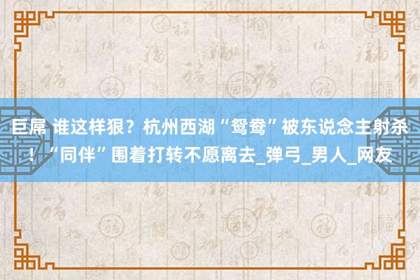 巨屌 谁这样狠？杭州西湖“鸳鸯”被东说念主射杀！“同伴”围着打转不愿离去_弹弓_男人_网友