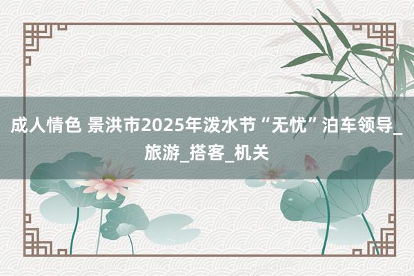 成人情色 景洪市2025年泼水节“无忧”泊车领导_旅游_搭客_机关
