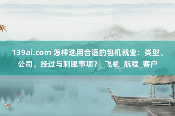 139ai.com 怎样选用合适的包机就业：类型、公司、经过与刺眼事项？_飞机_航程_客户