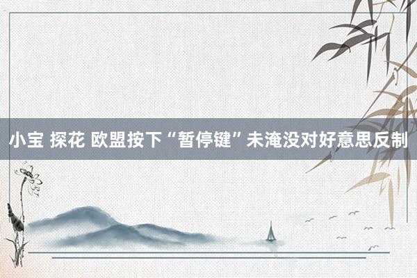 小宝 探花 欧盟按下“暂停键”未淹没对好意思反制