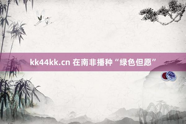 kk44kk.cn 在南非播种“绿色但愿”