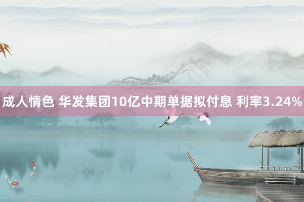 成人情色 华发集团10亿中期单据拟付息 利率3.24%