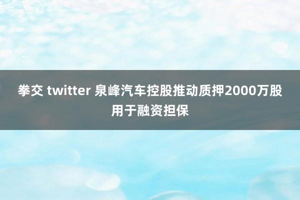 拳交 twitter 泉峰汽车控股推动质押2000万股用于融资担保