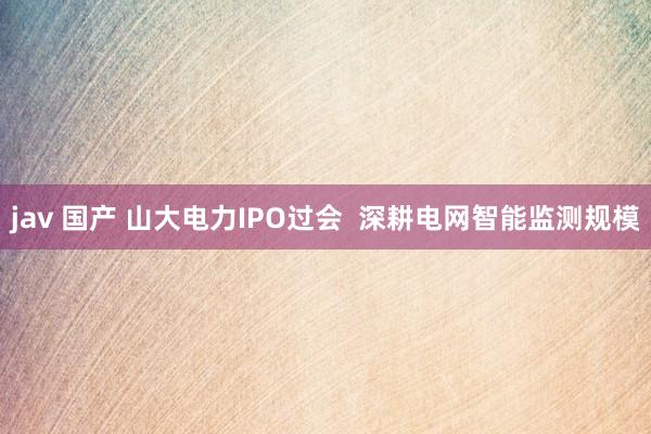 jav 国产 山大电力IPO过会  深耕电网智能监测规模
