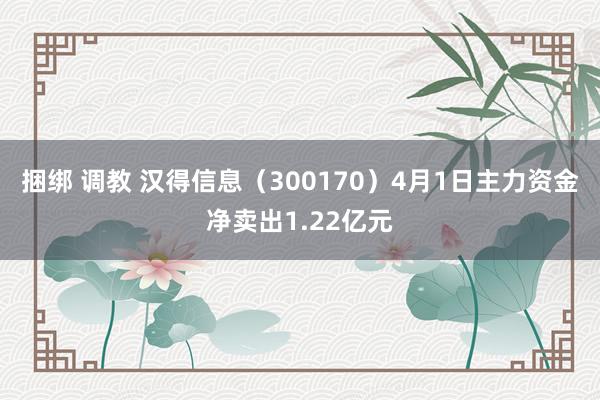 捆绑 调教 汉得信息（300170）4月1日主力资金净卖出1.22亿元