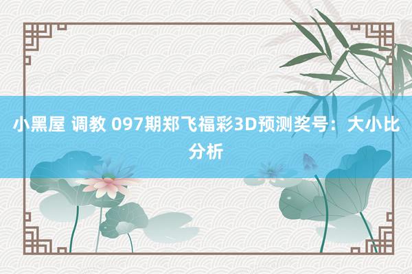 小黑屋 调教 097期郑飞福彩3D预测奖号：大小比分析