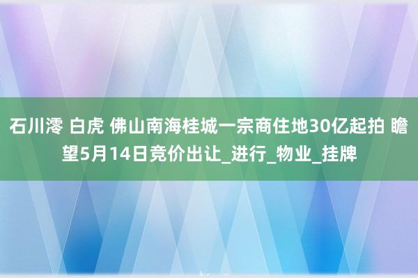 石川澪 白虎 佛山南海桂城一宗商住地30亿起拍 瞻望5月14日竞价出让_进行_物业_挂牌