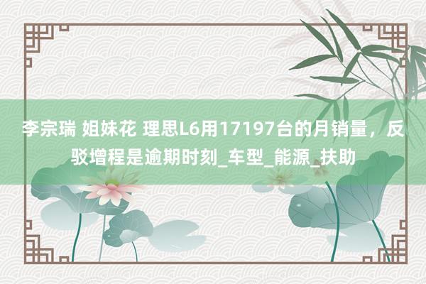 李宗瑞 姐妹花 理思L6用17197台的月销量，反驳增程是逾期时刻_车型_能源_扶助
