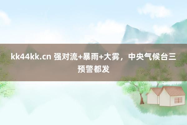 kk44kk.cn 强对流+暴雨+大雾，中央气候台三预警都发