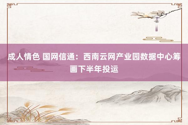 成人情色 国网信通：西南云网产业园数据中心筹画下半年投运