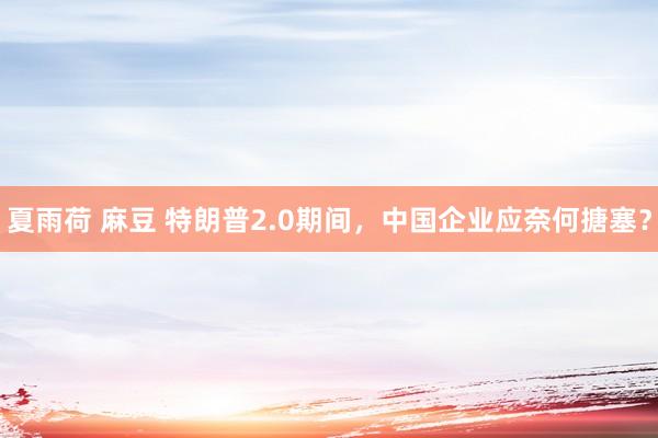 夏雨荷 麻豆 特朗普2.0期间，中国企业应奈何搪塞？