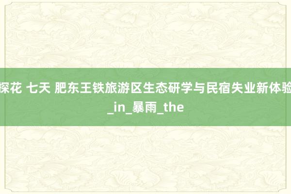 探花 七天 肥东王铁旅游区生态研学与民宿失业新体验_in_暴雨_the