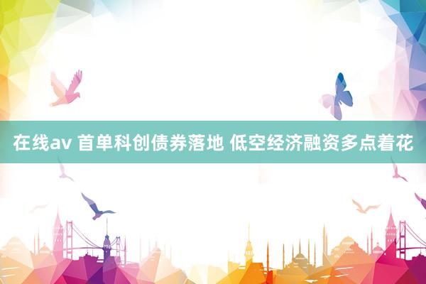 在线av 首单科创债券落地 低空经济融资多点着花