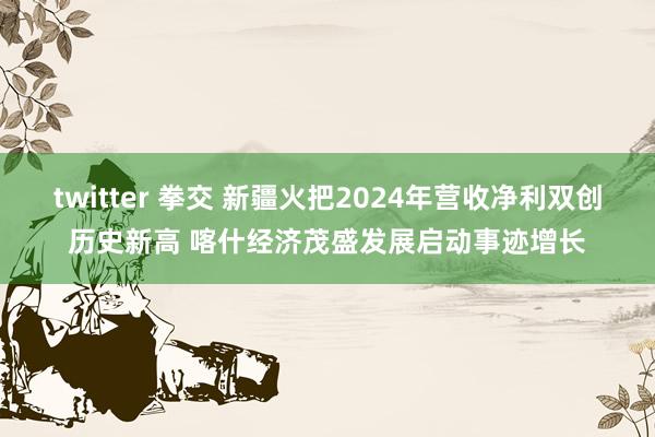 twitter 拳交 新疆火把2024年营收净利双创历史新高 喀什经济茂盛发展启动事迹增长