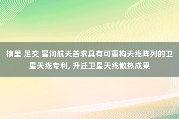 楠里 足交 星河航天苦求具有可重构天线阵列的卫星天线专利， 升迁卫星天线散热成果